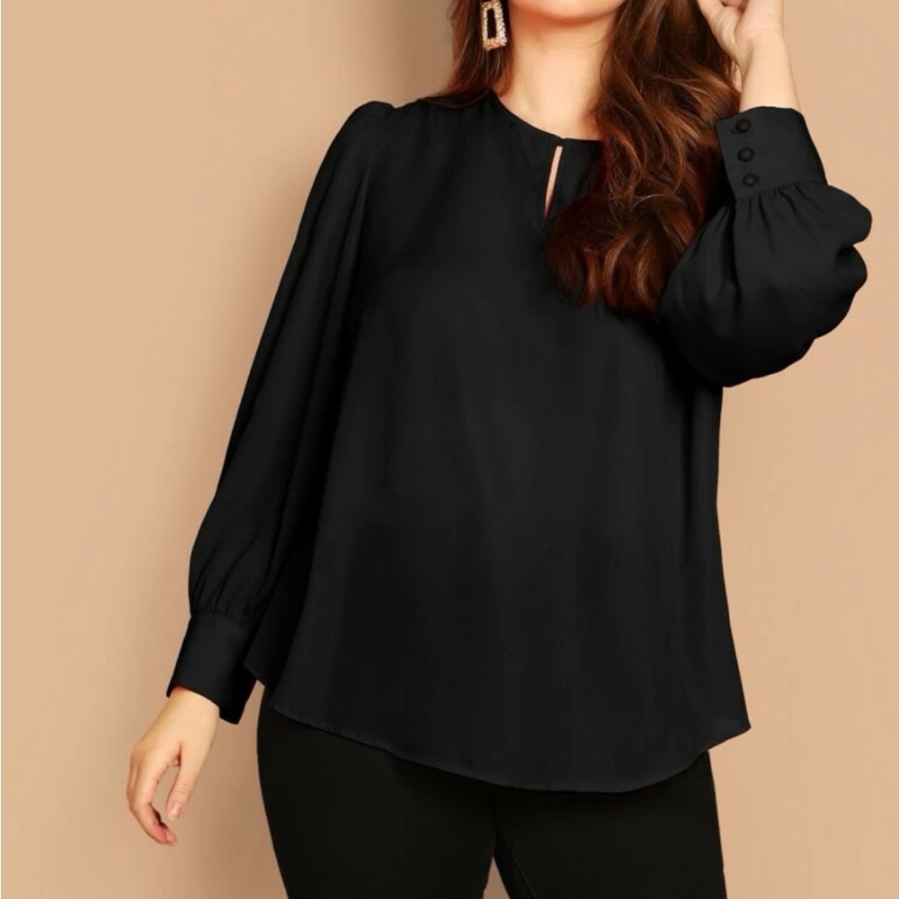 LPlus size blouse